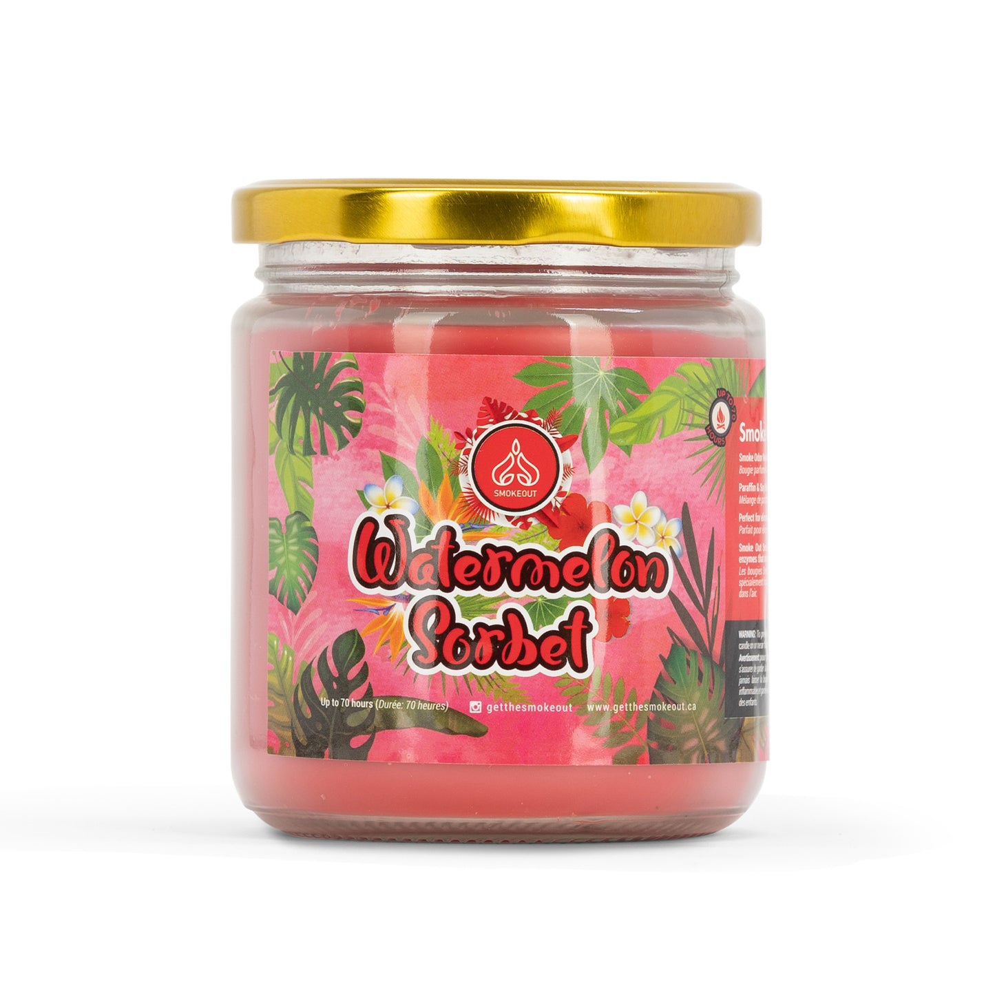 13oz Watermelon Sorbet Candle