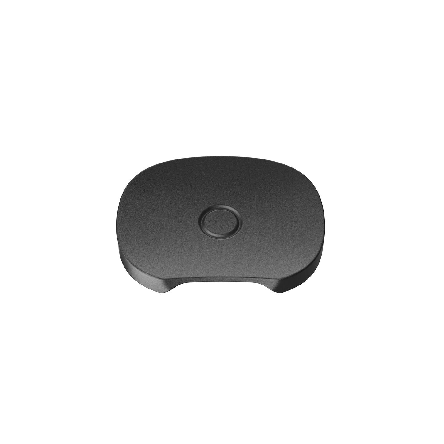 PAX FLOW Flat Mouthpiece (Pack of 2)
