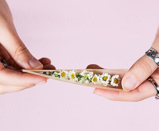 A Love Letter to Rolling Papers: The Ultimate Guide to the Best Rolling Papers for Joints