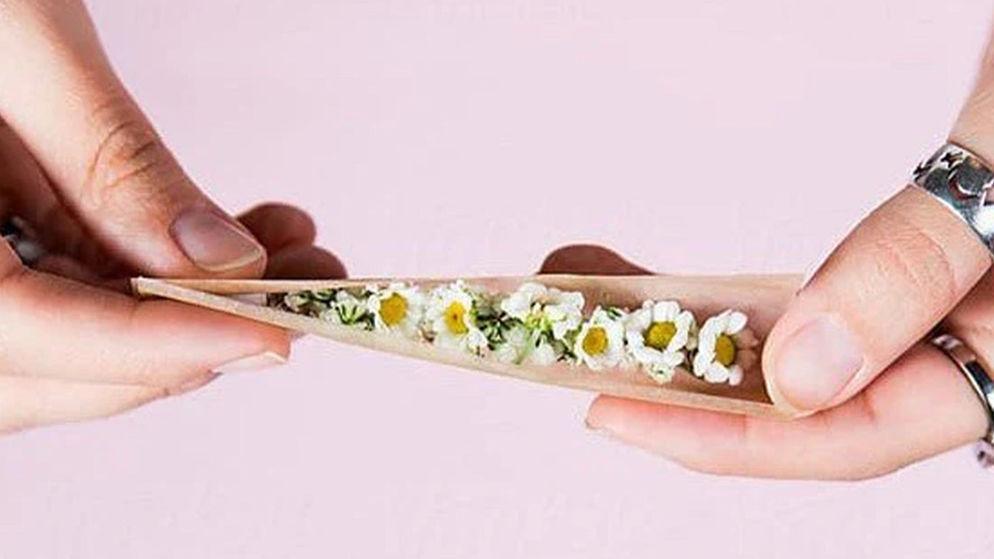 The Ultimate Guide to the Best Rolling Papers for Joints