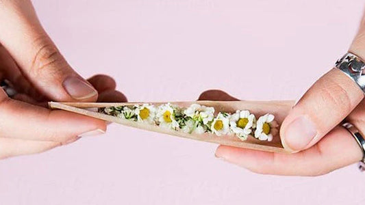 The Ultimate Guide to the Best Rolling Papers for Joints