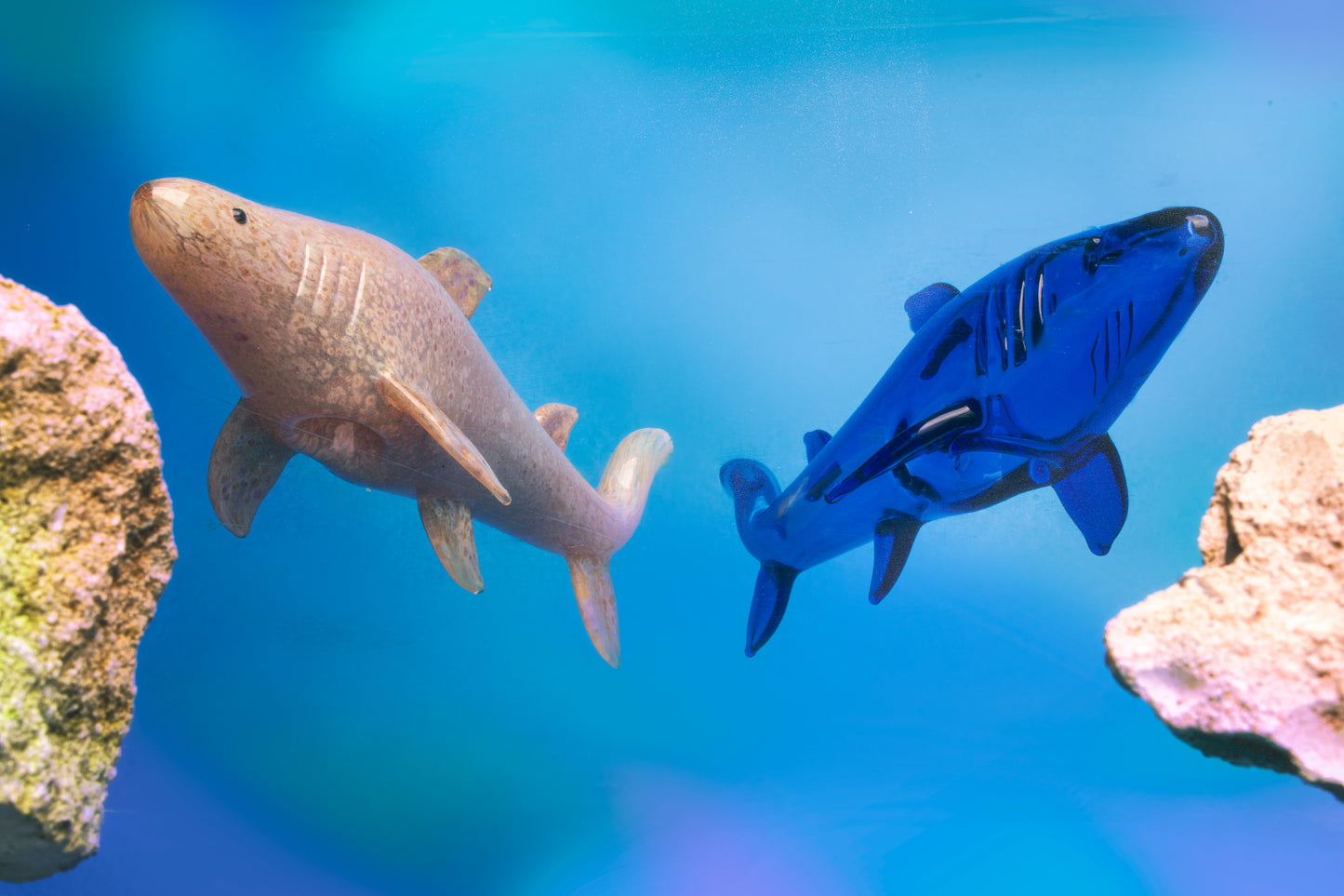 6" Shark Hand Pipe (Limited Edition)