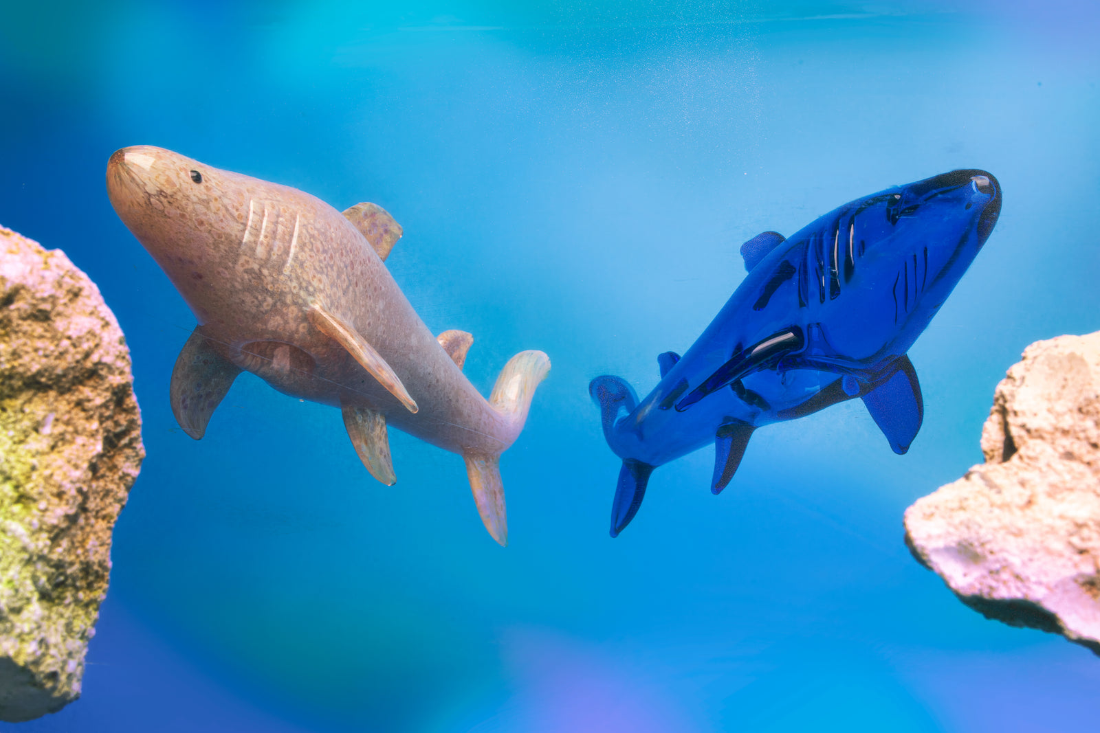 6" Shark Hand Pipe (Limited Edition)