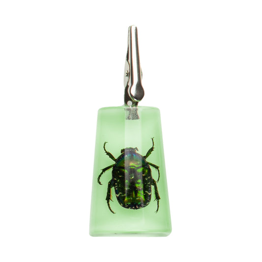 Glow-in-the-Dark Stand-Up Chafer Clip