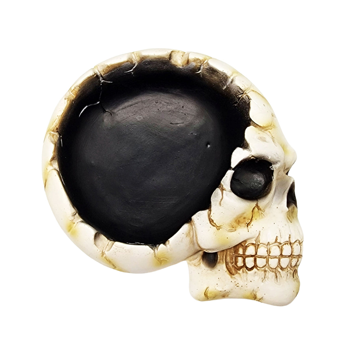 Open Skull Ashtray