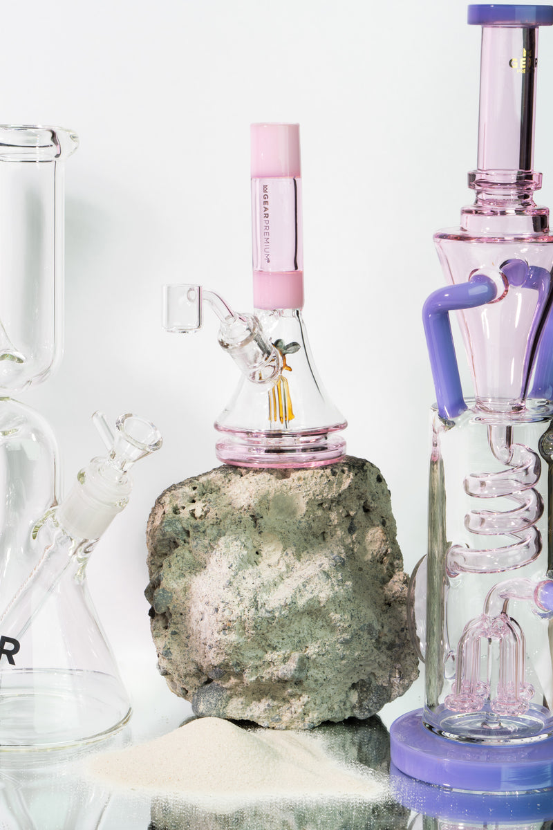 6" Bee Concentrate Rig