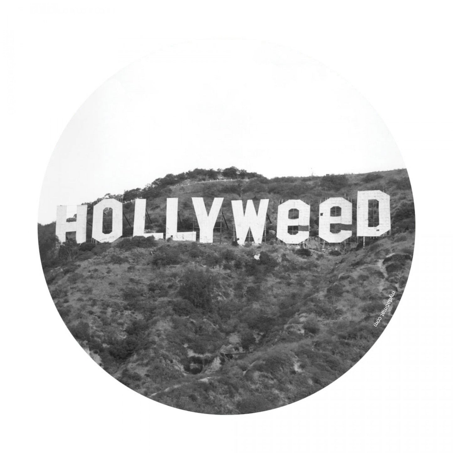 Hollyweed