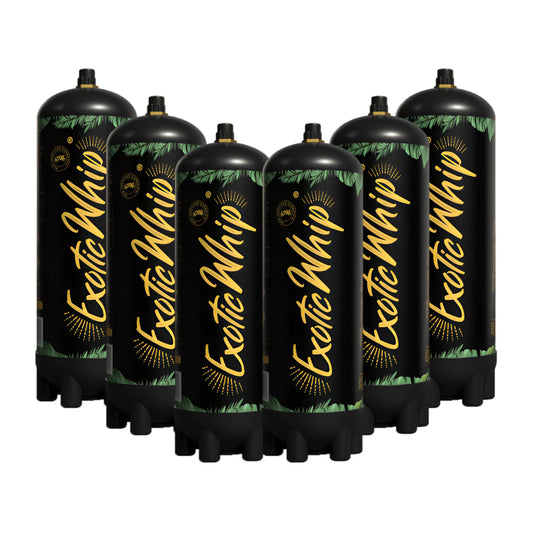 670g Nitrous Oxide Cylinder (Case of 6)