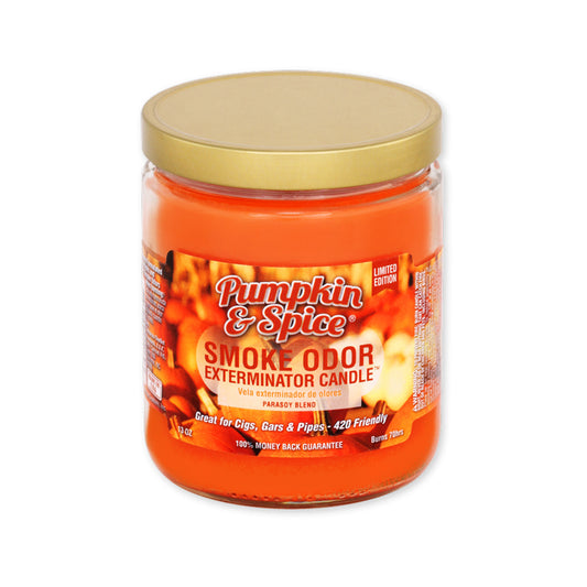 13oz Pumpkin & Spice Candle